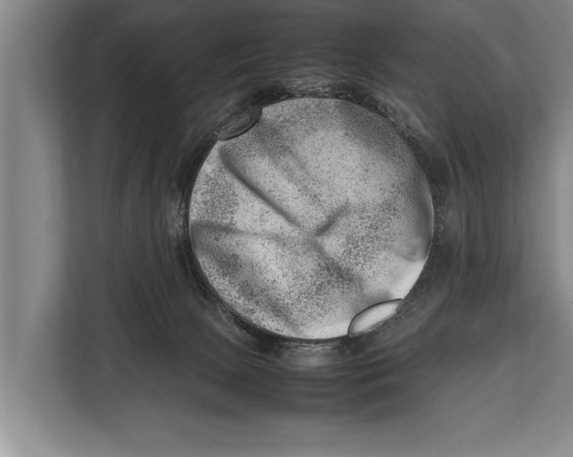 X0000112810081200909181559