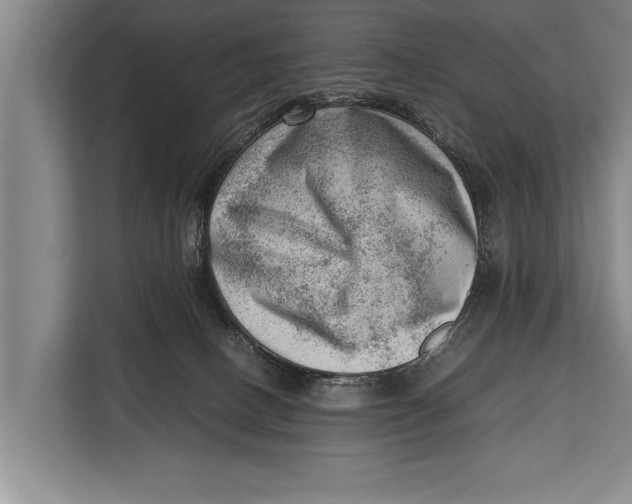 X0000112810082200909181559
