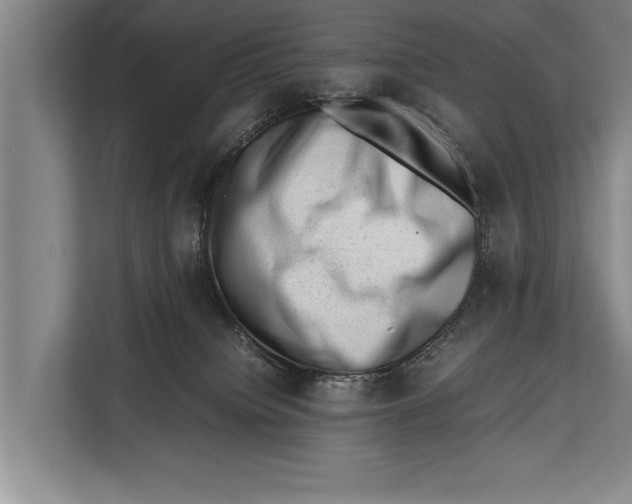 X0000112810084200909181559