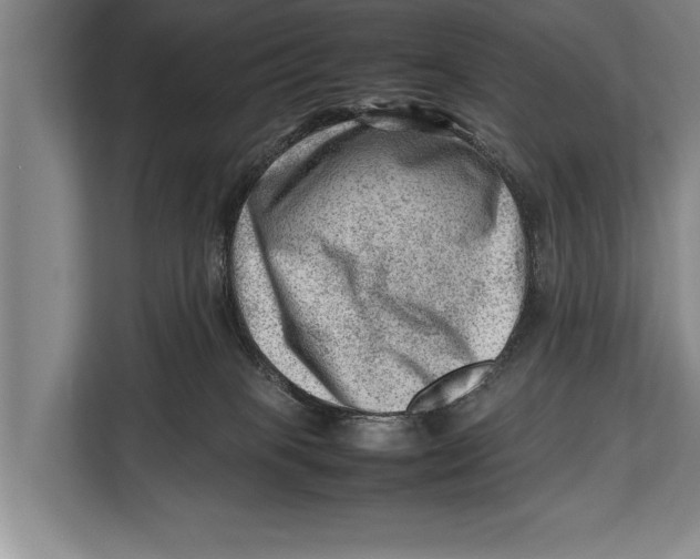 X0000112810085200909181559