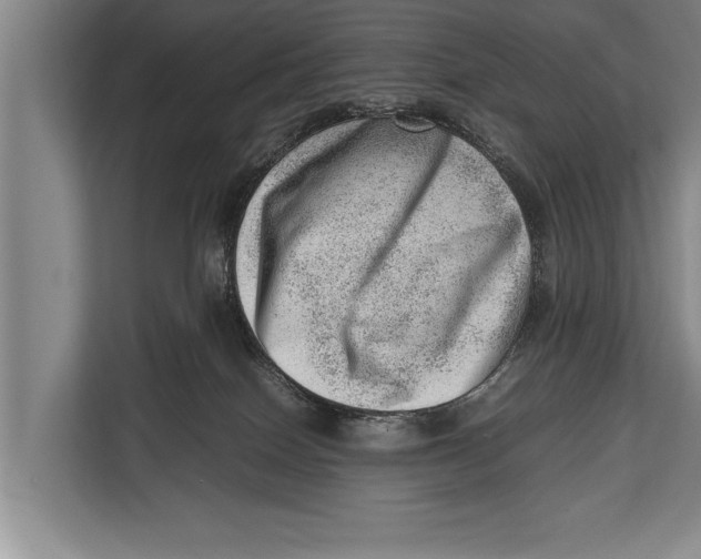 X0000112810086200909181559