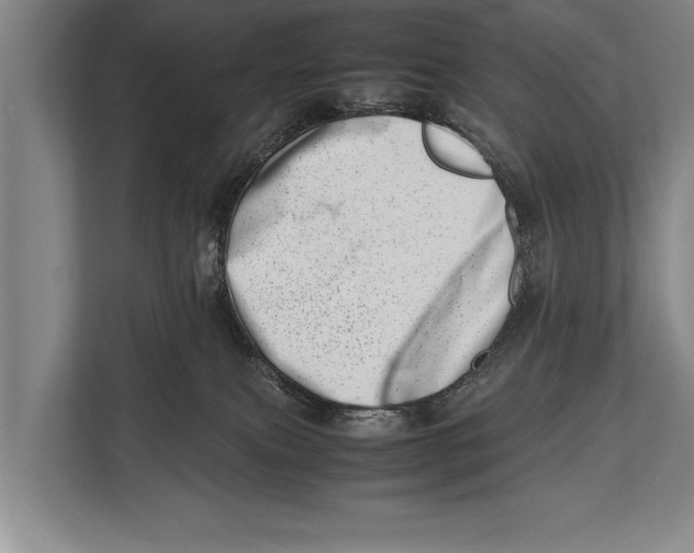 X0000112810087200909181559