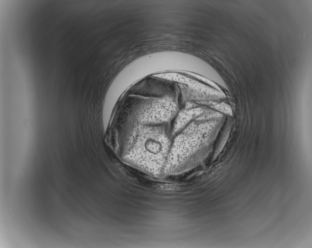 X0000112810088200909181559