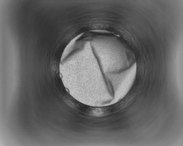 X0000112810091200909181559