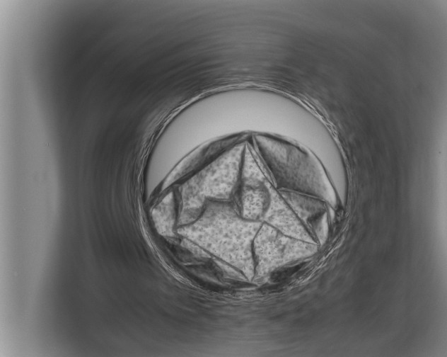 X0000112810097200909181558