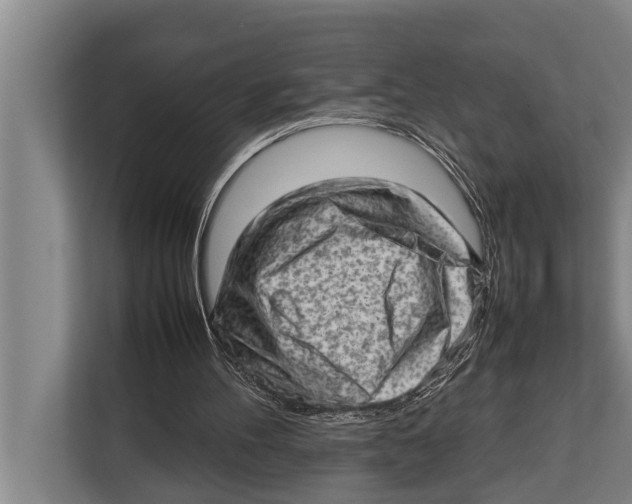 X0000112810100200909181558
