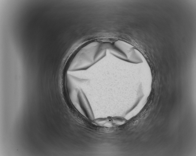 X0000112810103200909181558