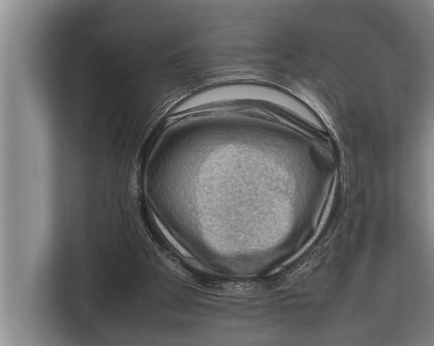 X0000112810105200909181558