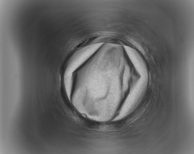 X0000112810109200909181558