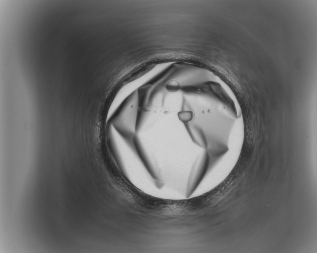 X0000112810111200909181558