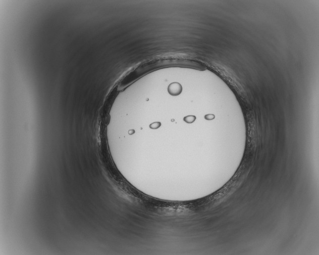 X0000112810112200909181558