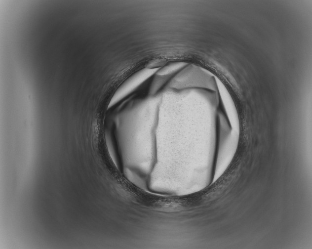 X0000112810113200909181558