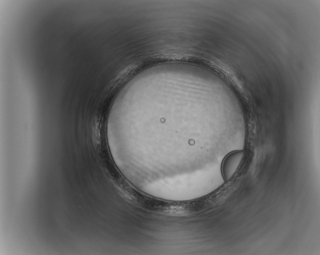 X0000112810114200909181558