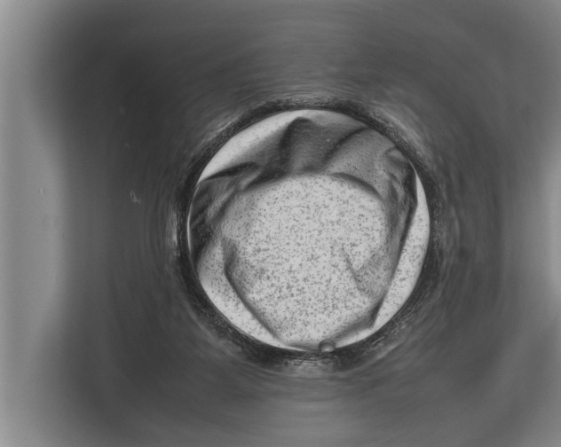 X0000112810115200909181558