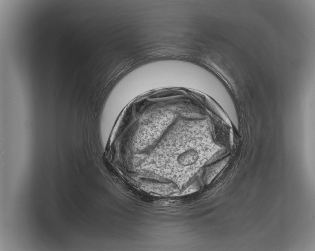 X0000112810117200909181558
