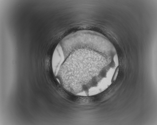 X0000112810127200909181558
