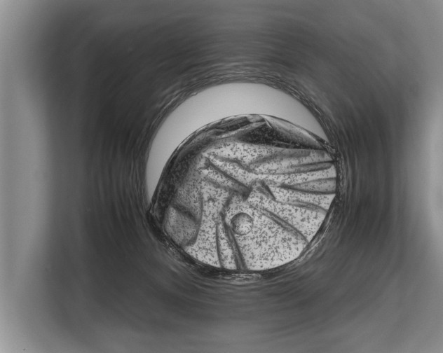 X0000112810128200909181558