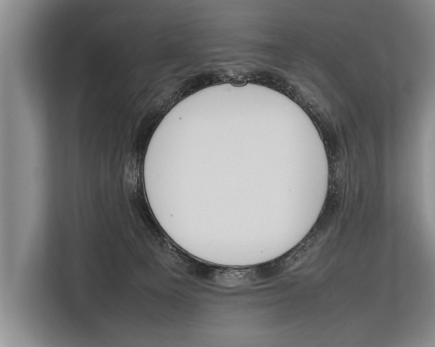 X0000112810129200909181558