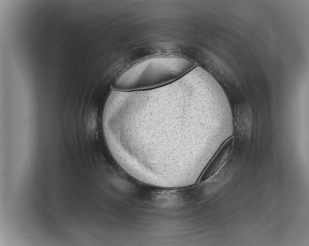 X0000112810132200909181558
