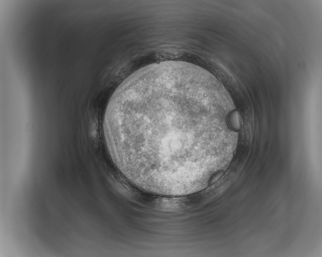 X0000112810134200909181558