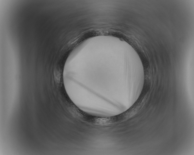 X0000112810139200909181558