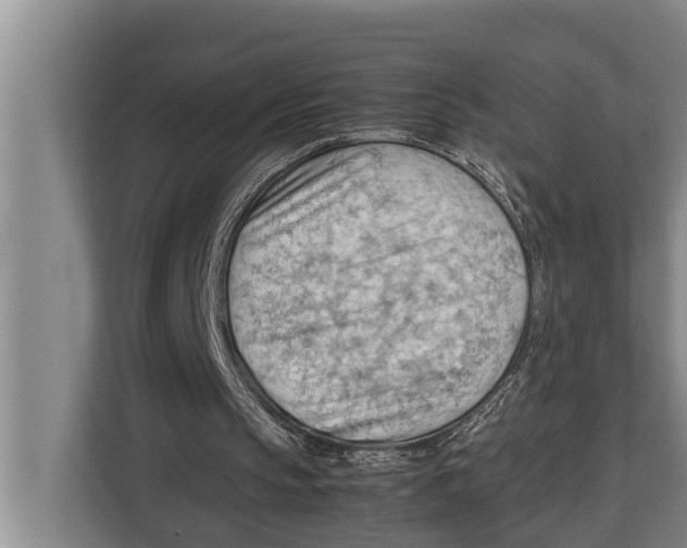 X0000112810145200909181557