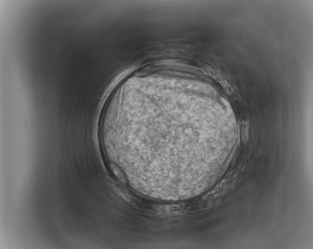 X0000112810147200909181557