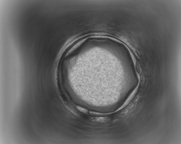 X0000112810151200909181557