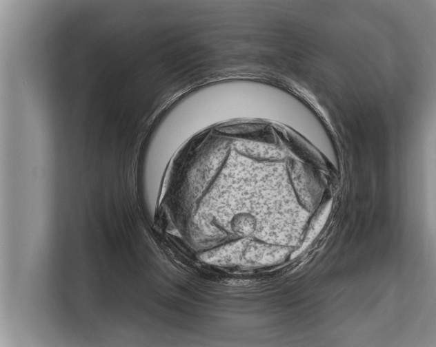 X0000112810154200909181557
