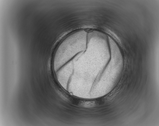 X0000112810155200909181557