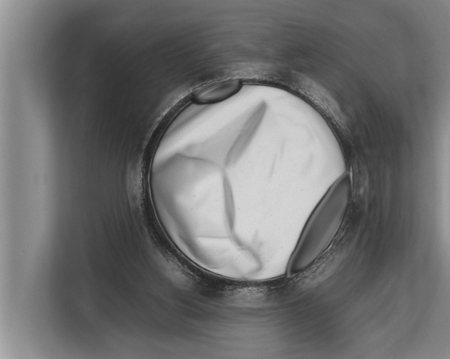 X0000112810156200909181557