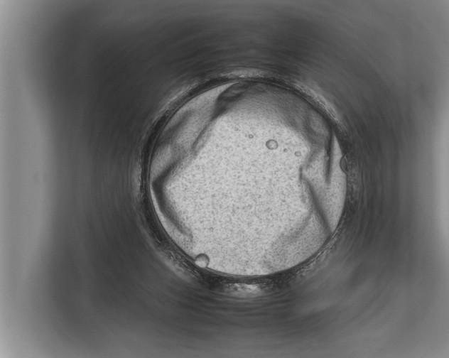 X0000112810159200909181557