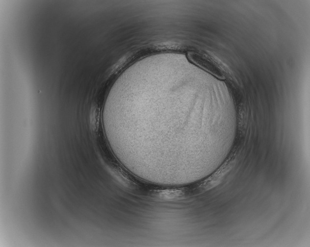 X0000112810168200909181557