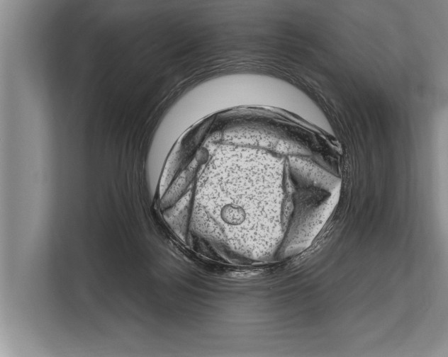 X0000112810172200909181557