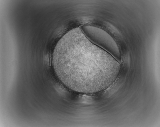 X0000112810180200909181557