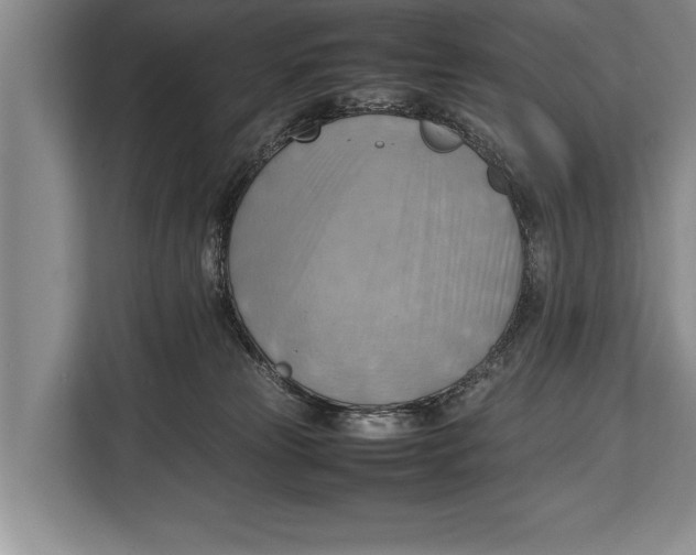 X0000112810181200909181557