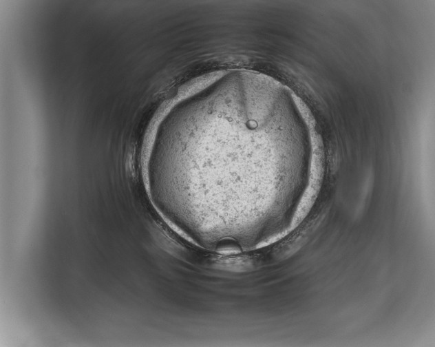 X0000112810185200909181557