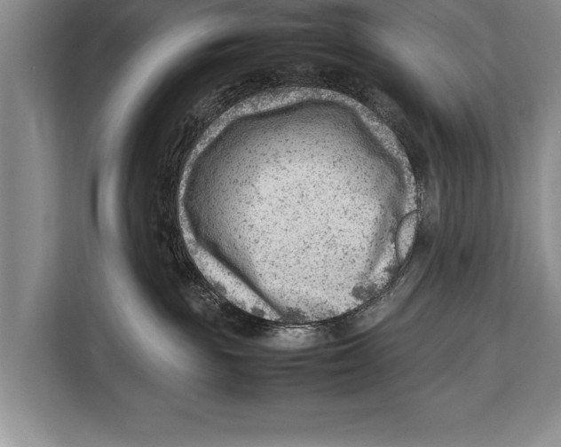 X0000112810189200909181557