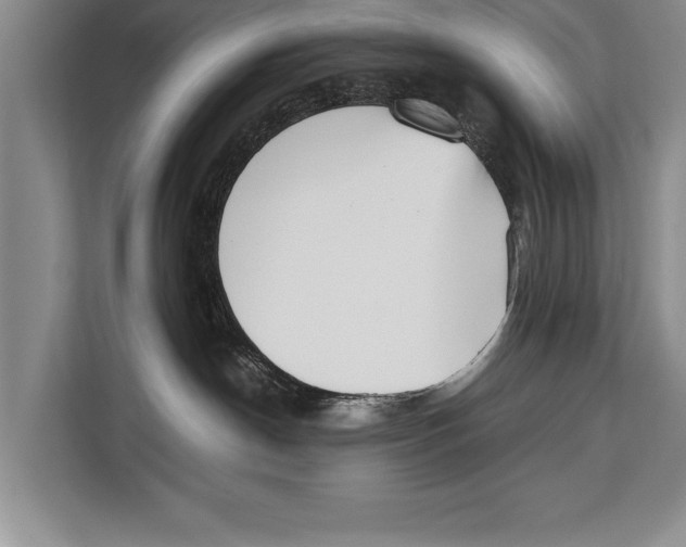 X0000112810190200909181557