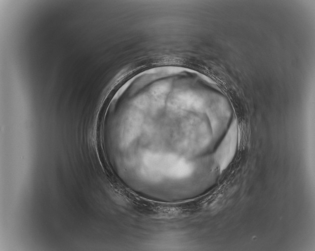 X0000112810195200909181557