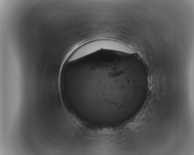 X0000112810196200909181557