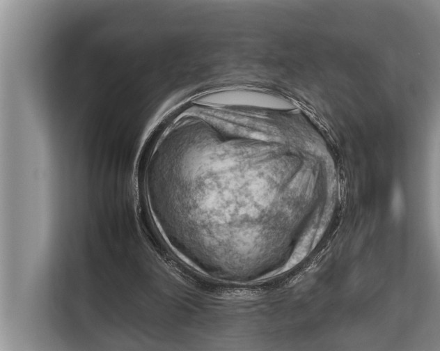 X0000112810198200909181557