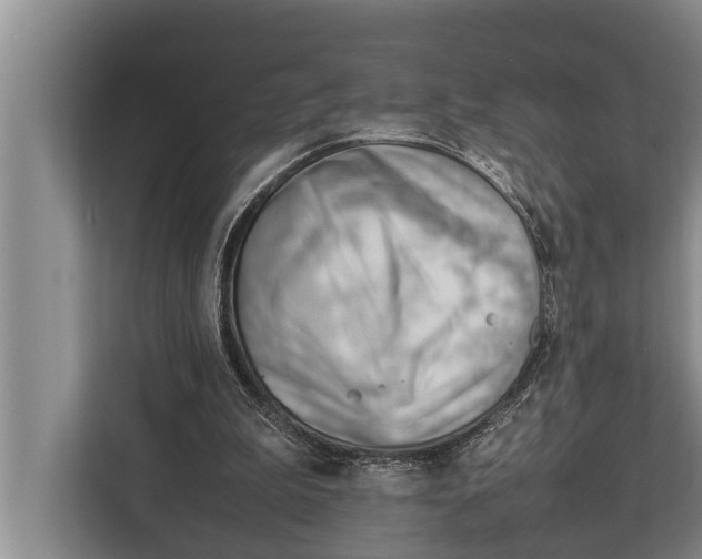 X0000112810199200909181557