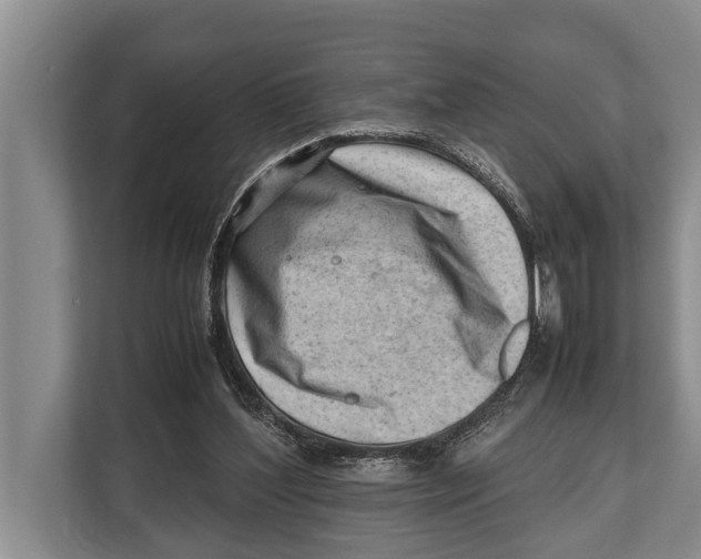 X0000112810204200909181557