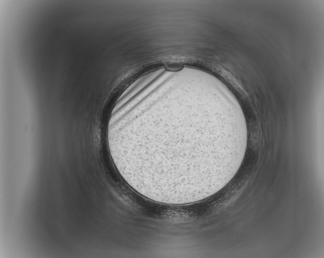 X0000112810207200909181557