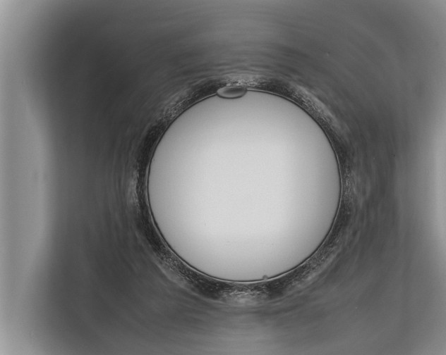 X0000112810209200909181557