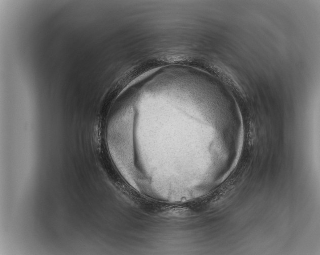 X0000112810210200909181557