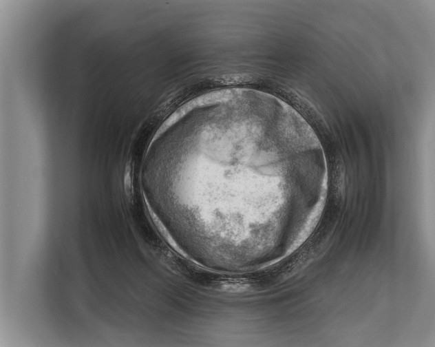 X0000112810214200909181557