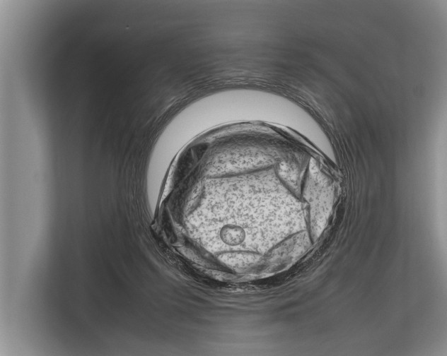 X0000112810215200909181557