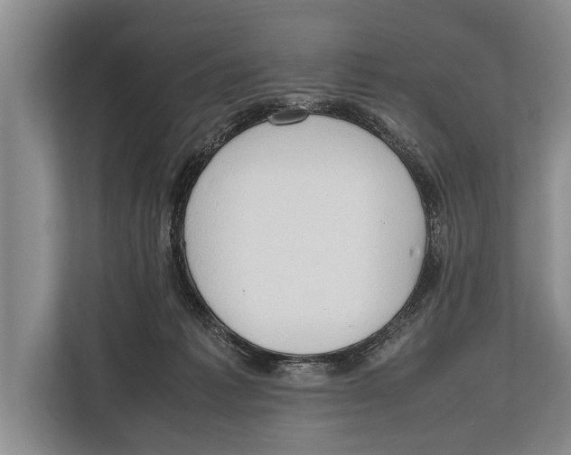 X0000112810221200909181557